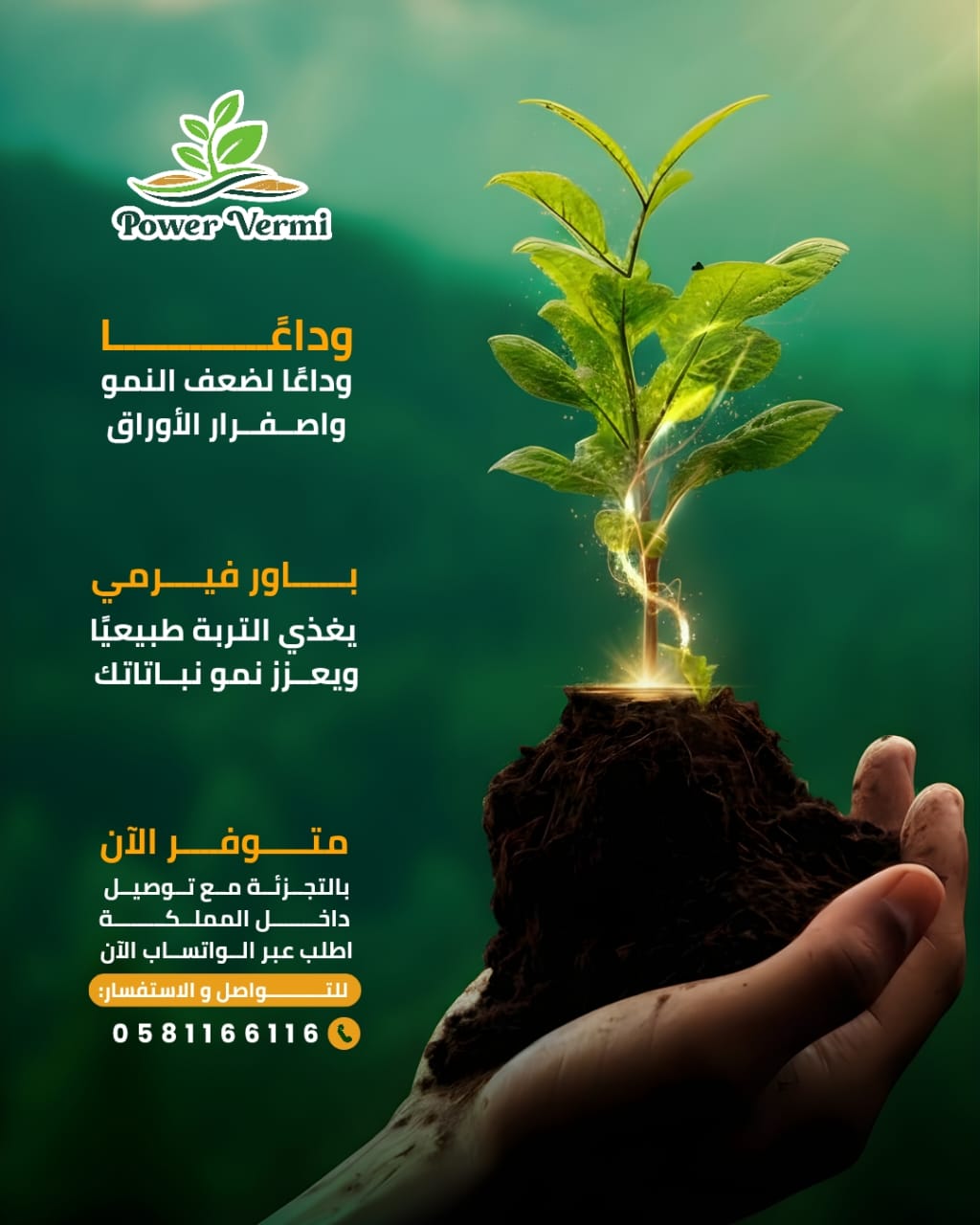تصميم حملة إعلانية