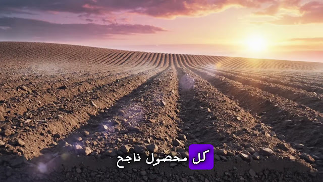 فيديو #10