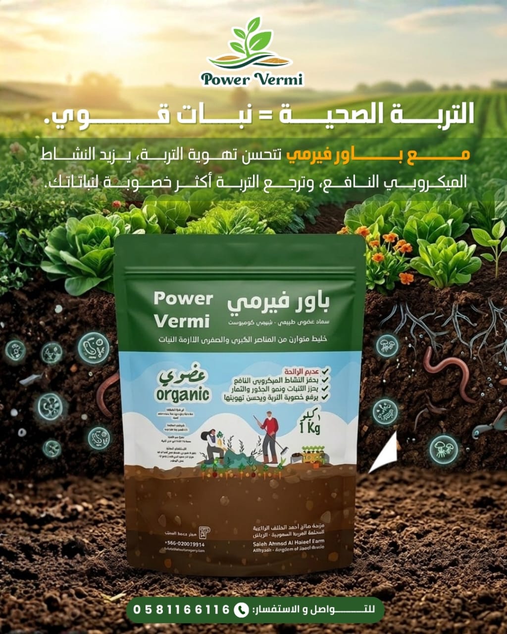 تصميم إعلان رقمي
